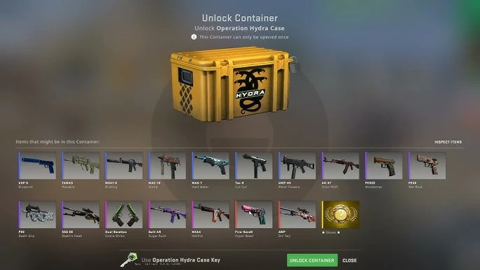 Operation Hydra Case